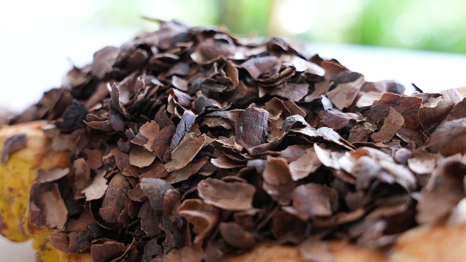 THE TASTE OF THE ZILE